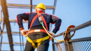 safety harness occupational safety system